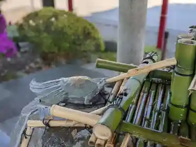 亀戸天神社の手水舎