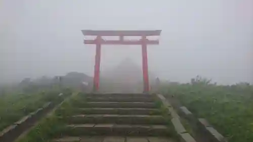 箱根元宮の鳥居