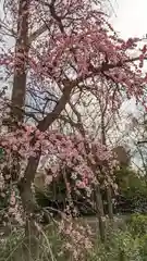 北野天満宮(京都府)