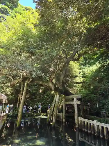 鹿島神宮(茨城県)