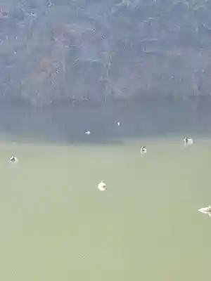 正法寺(京都府)