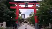 富岡八幡宮の鳥居