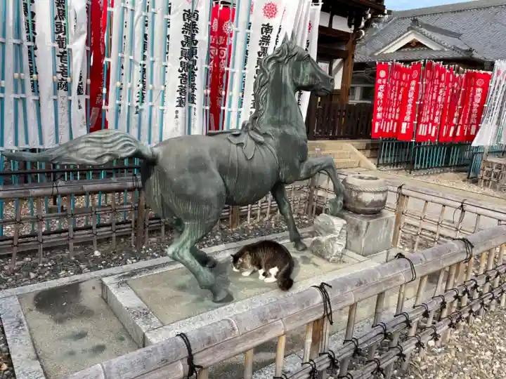 龍泉寺の狛犬