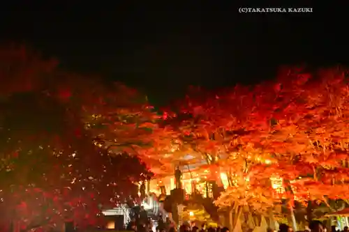 大山阿夫利神社(神奈川県)