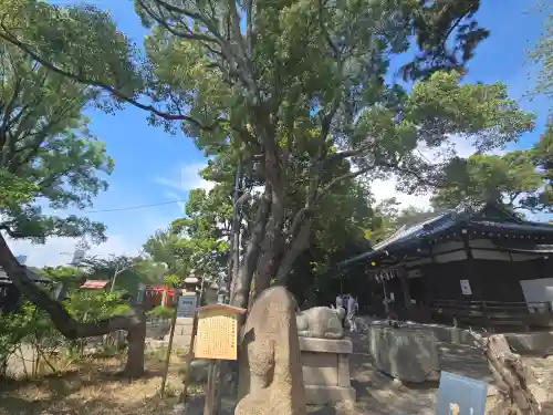 安居神社の自然