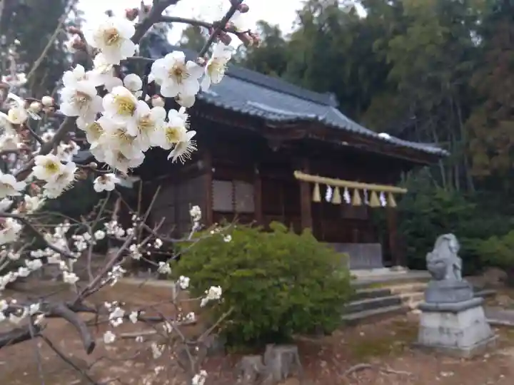 八幡神社(福井県)