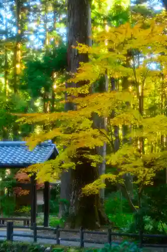 小國神社(静岡県)