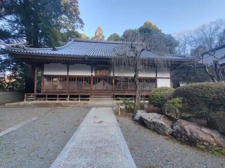 東禅寺(群馬県)