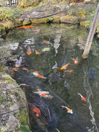 櫻山八幡宮(岐阜県)