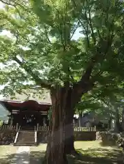 加茂神社(長野県)