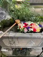 本郷氷川神社(東京都)