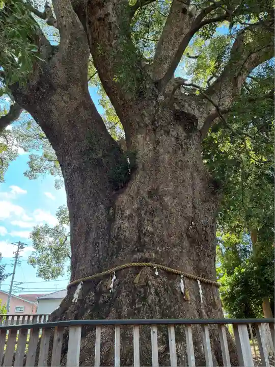 伊勢神明社(静岡県)