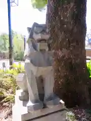 東郷神社の狛犬