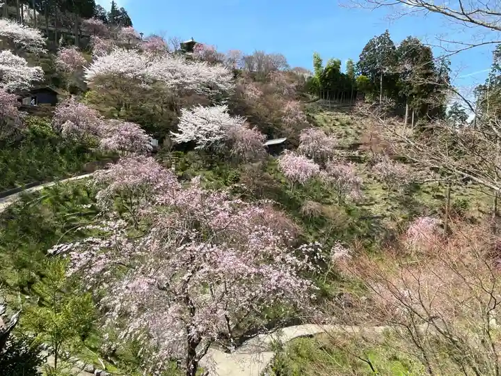 善峯寺(京都府)
