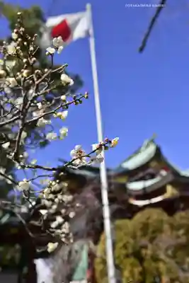 居木神社(東京都)