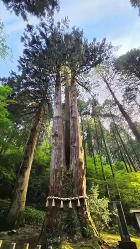 御岩神社の自然