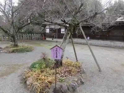 平野神社(京都府)
