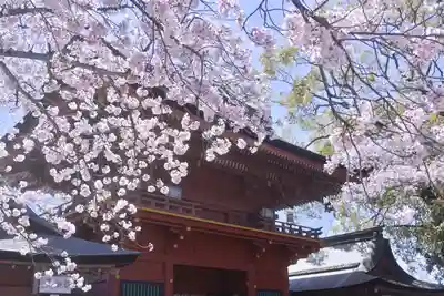 富士山本宮浅間大社(静岡県)