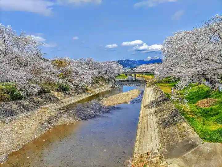 進雄神社(国府町)の周辺