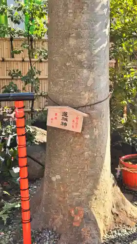田無神社の{uncategorized: "未分類", other: "その他", undefined: "問題あり", building: "その他建物", grave: "お墓", sacred_gate: "鳥居", guardian: "狛犬", statue: "像", buddha: "仏像", history: "歴史", nature: "自然", garden: "庭園", animal: "動物", pagoda: "塔", temizu: "手水舎", mountain_gate: "山門・神門", sanctuary: "本殿・本堂", subordinate: "末社・摂社", art: "芸術", scenery: "景色", jizo: "地蔵", ema: "絵馬", goshuin: "御朱印", omikuji: "おみくじ", items: "授与品その他", amulet: "お守り", goshuincho: "御朱印帳", eats: "食事", festival: "お祭り", votive_dance: "神楽", shichigosan: "七五三参", wedding: "結婚式", experience: "体験その他", initially: "初詣", around: "周辺", anti_infection: "感染症対策"}