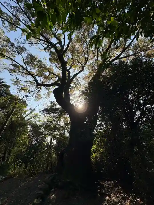 葭原神社(皇大神宮末社)の{uncategorized: "未分類", other: "その他", undefined: "問題あり", building: "その他建物", grave: "お墓", sacred_gate: "鳥居", guardian: "狛犬", statue: "像", buddha: "仏像", history: "歴史", nature: "自然", garden: "庭園", animal: "動物", pagoda: "塔", temizu: "手水舎", mountain_gate: "山門・神門", sanctuary: "本殿・本堂", subordinate: "末社・摂社", art: "芸術", scenery: "景色", jizo: "地蔵", ema: "絵馬", goshuin: "御朱印", omikuji: "おみくじ", items: "授与品その他", amulet: "お守り", goshuincho: "御朱印帳", eats: "食事", festival: "お祭り", votive_dance: "神楽", shichigosan: "七五三参", wedding: "結婚式", experience: "体験その他", initially: "初詣", around: "周辺", anti_infection: "感染症対策"}