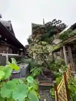 極楽寺(高知県)