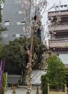 東京大神宮(東京都)