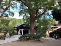 王子神社の自然