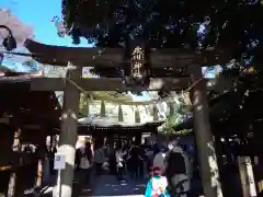 川越氷川神社(埼玉県)