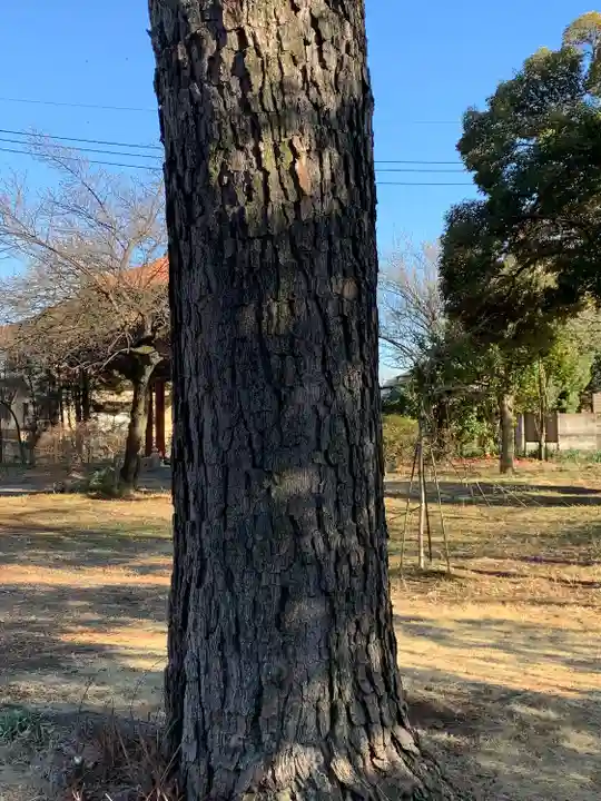 慈恩寺(埼玉県)