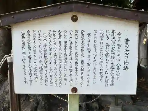 熊野神社(東京都)