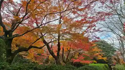 法輪寺(京都府)