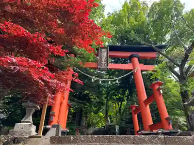 新倉富士浅間神社の鳥居