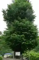 長福寺(徳島県)