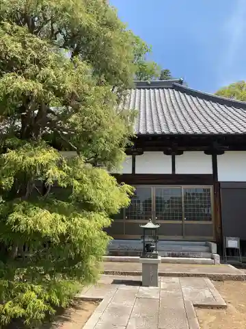 南蔵院の本殿・本堂