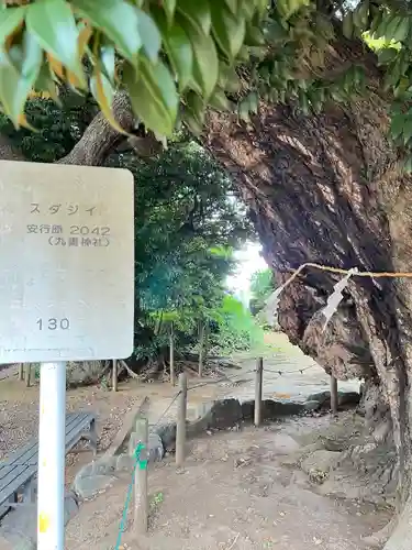 九重神社(埼玉県)
