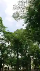 神明社（国府宮神明社）の周辺