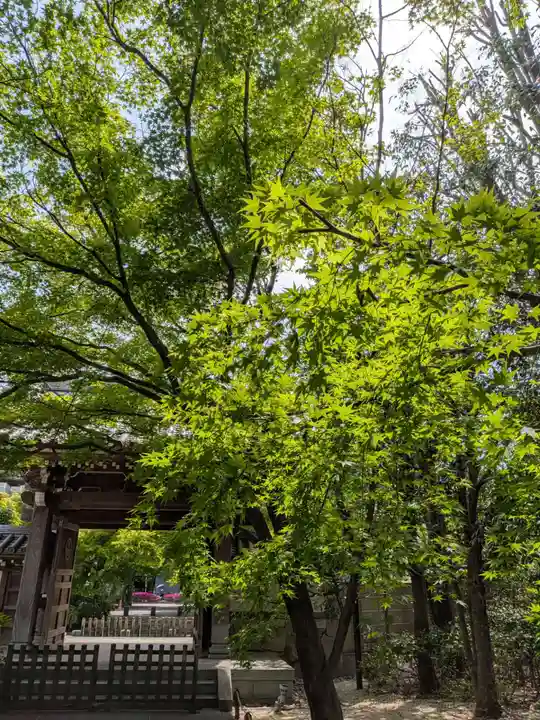 高円寺(東京都)