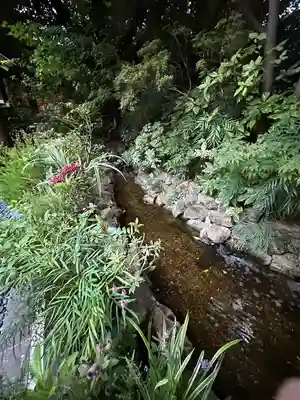 東京大神宮の周辺