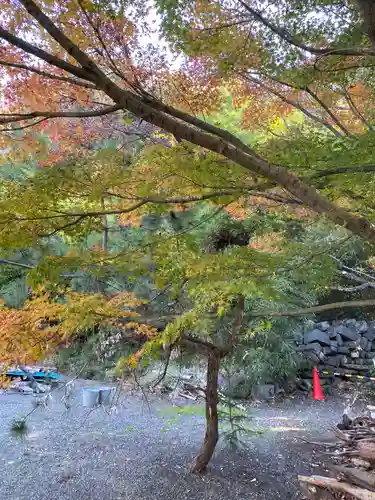 愛宕神社の自然