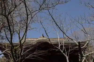 清水寺(千葉県)