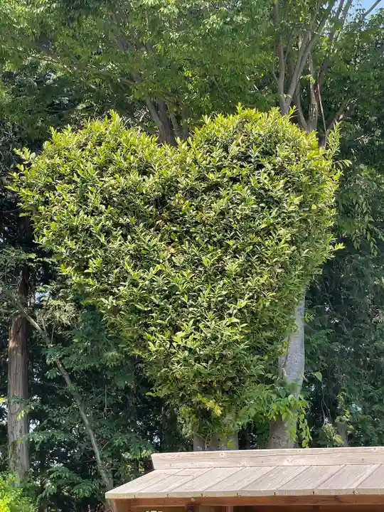 忠興八幡神社(愛知県)