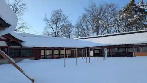 北海道護國神社のおみくじ