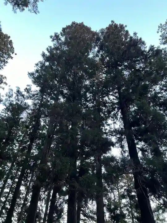 大宮温泉神社の自然