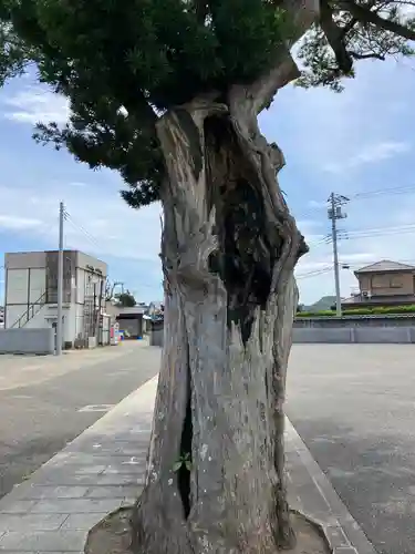 圓福寺（円福寺）(神奈川県)