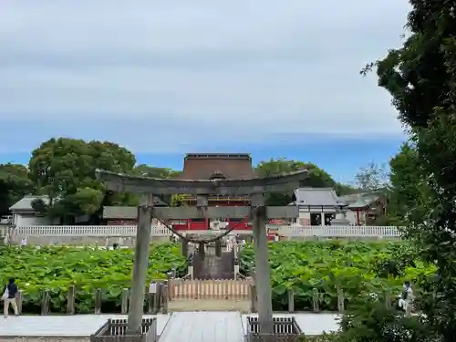 伊賀八幡宮の鳥居