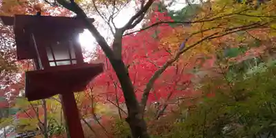 鍬山神社のその他建物