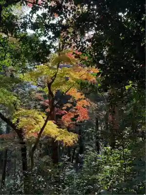 金刀比羅神社(岡山県)
