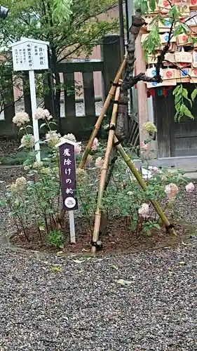 行田八幡神社の自然