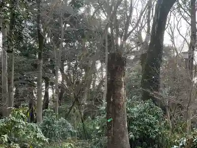 賀茂御祖神社（下鴨神社）の周辺